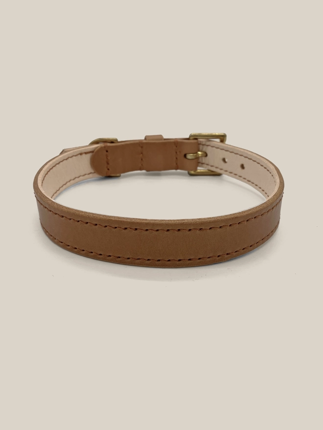 rear view of caramel leather dog collar