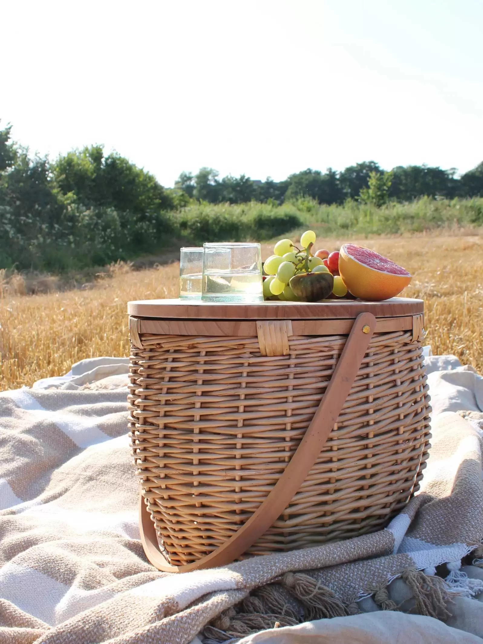 The Picnic Basket Of Dreams Holly Co