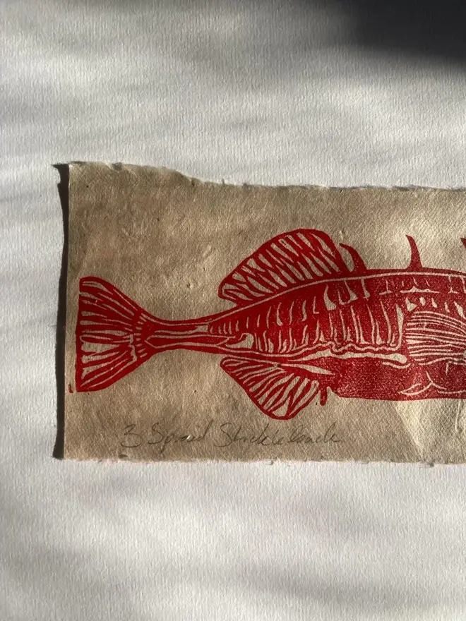 Lino Print Spiked Stickleback Fish On Handmade Paper