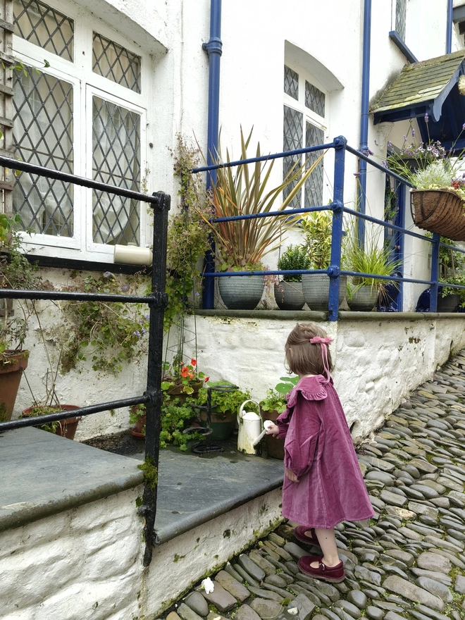 kids velvet dress with big frill collar rose