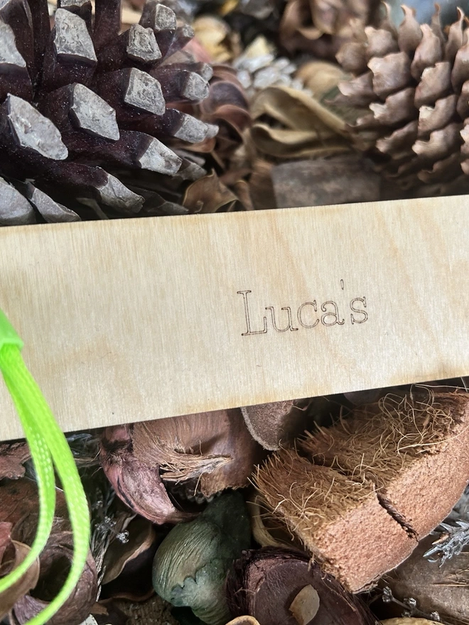 Back of a Birch Plywood Worm Measuring Calculator Ruler showing name personalisation, on a forest floor bed of leaves and pine cones