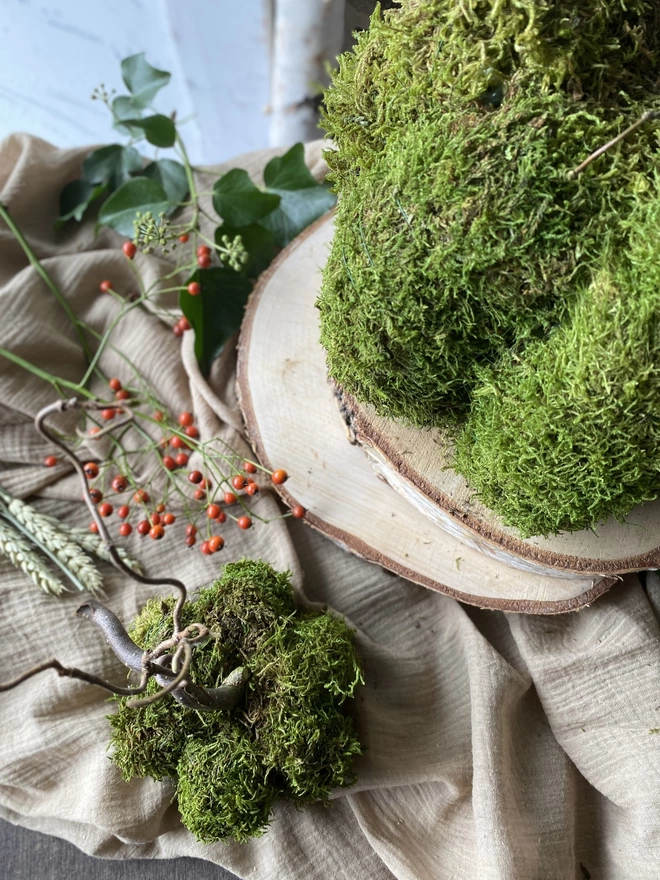 A top-down shot of two Hand Formed Dried Moss Pumpkin with Corylus Stalks, on display with sprigs of red berries, atop soft ruffled cloth