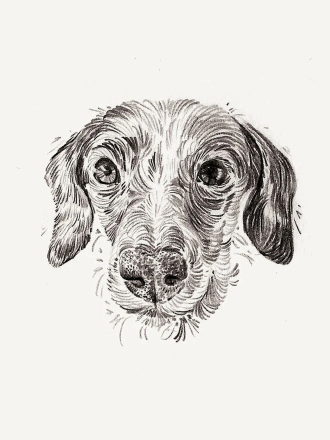 A6 Personalised Pet Portrait 