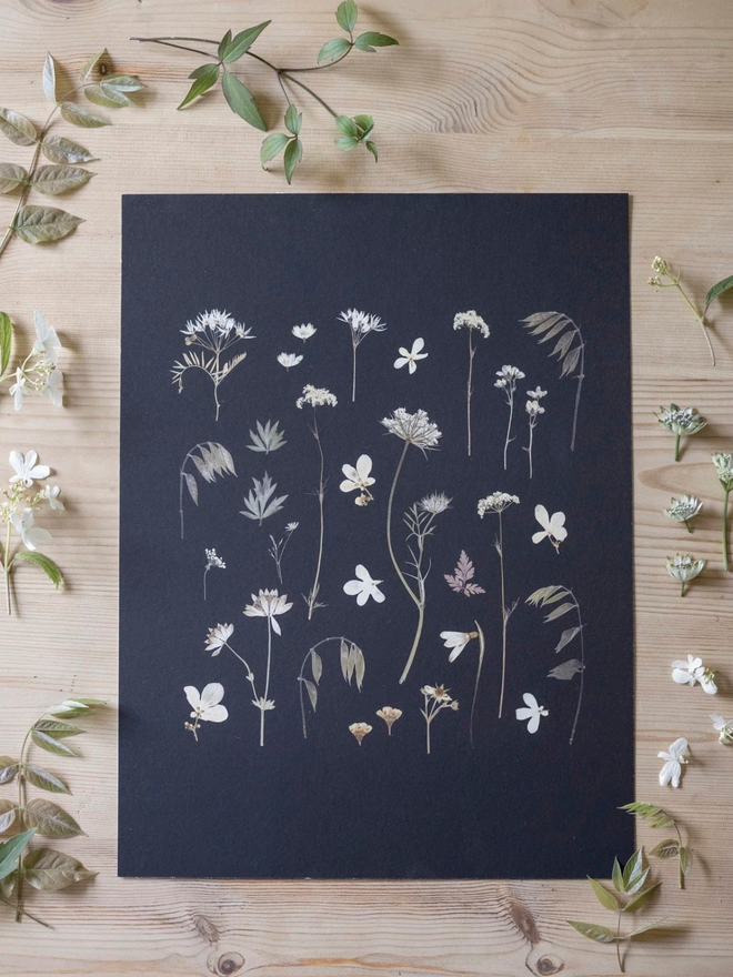 pressed wildflower artwork