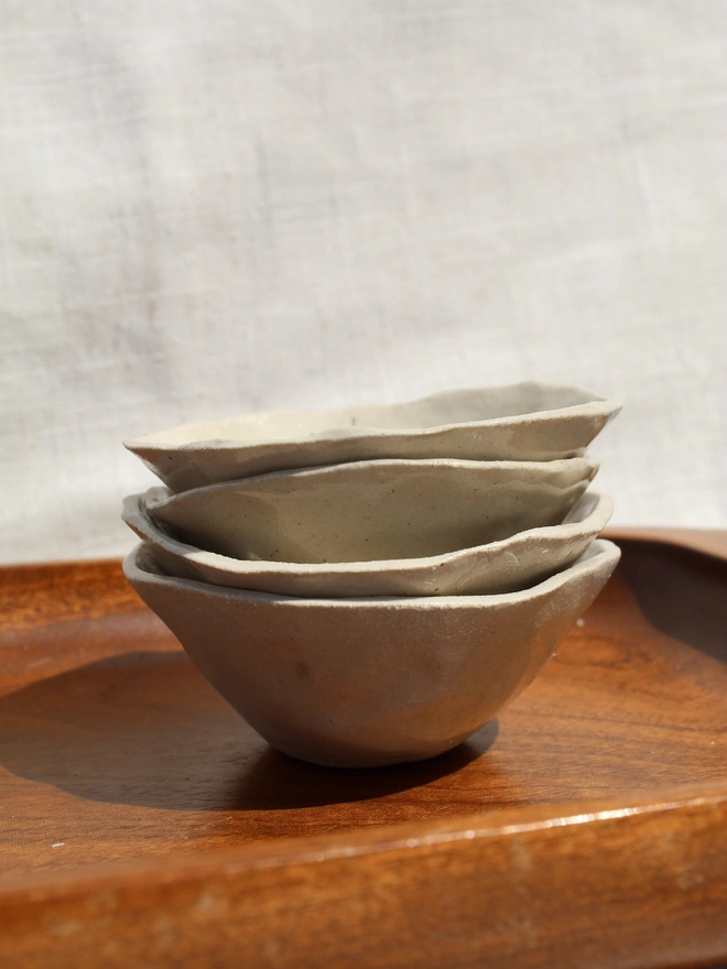 Fly Trinket Dish, a fly trinket dish sitting on a wooden surface. 