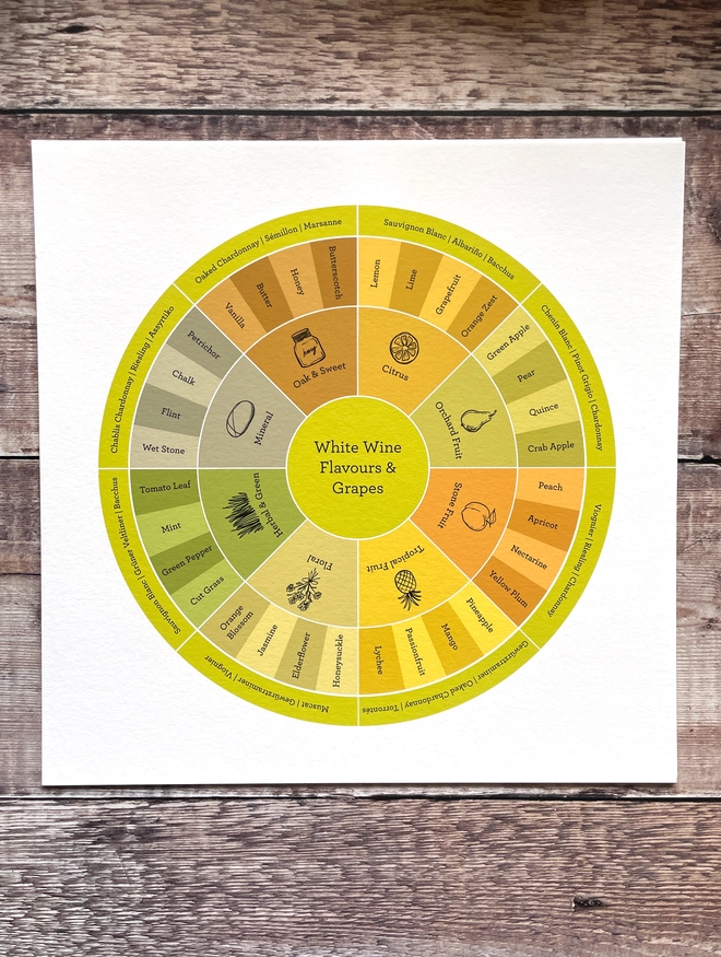 White wine flavour wheel art print showing fruit, floral, spice, earth and savoury tasting notes