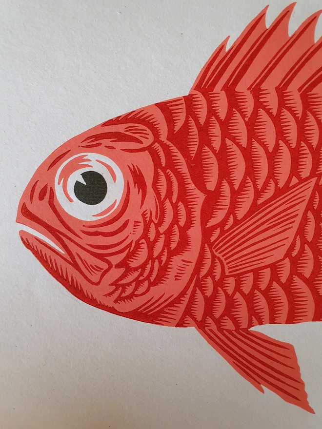 Soldierfish linocut print close-up of head