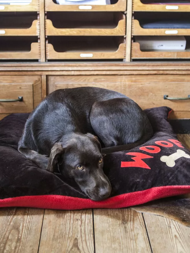 Medium Woof dog Bed In Brown For A Small Chocolate Labrador