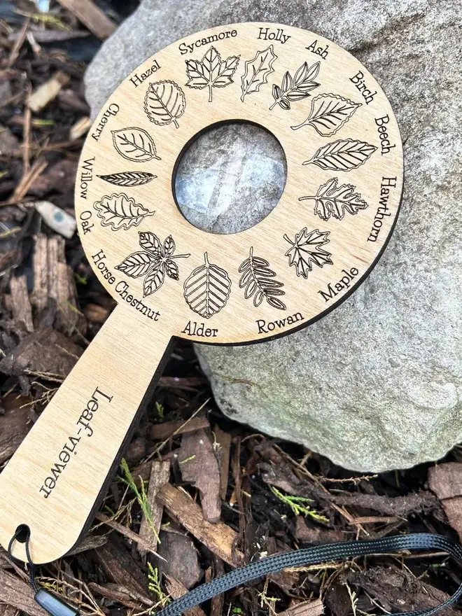  Birch wood leaf identification magnifier engraved with detailed leaf  illustrations, displayed on forest floor materials.