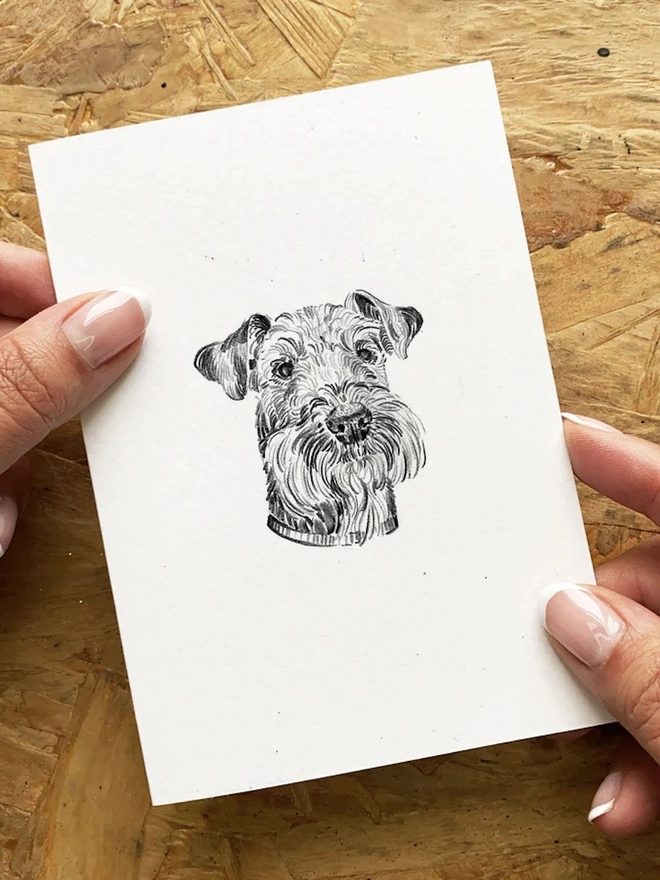 A6 Personalised Pet Portrait 