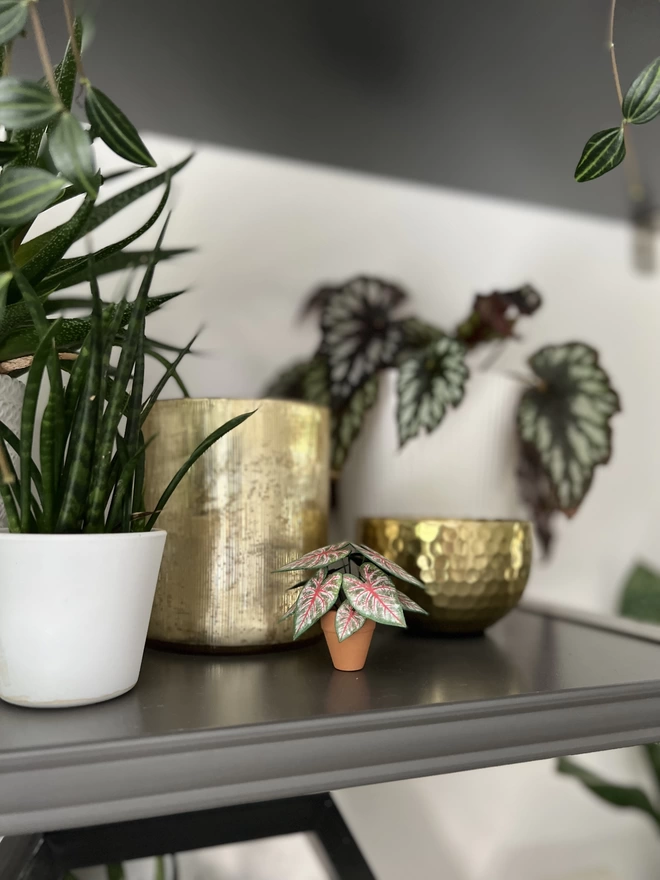 A miniature replica Caladium Rosebud paper plant ornament in a terracotta pot sat on a grey shelf with other real plants in the background and gold accessories