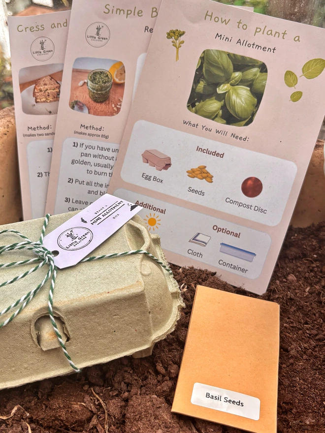 Green egg-box with Start A Mini Allotment Label with instruction cards and kraft seed packets in soil