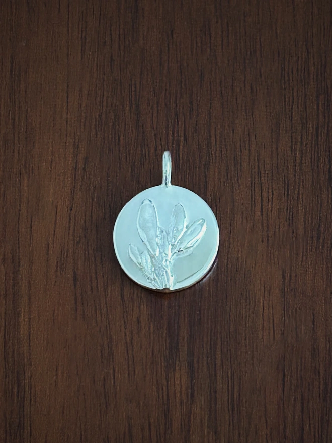 Sterling Silver Broom Coin Charm