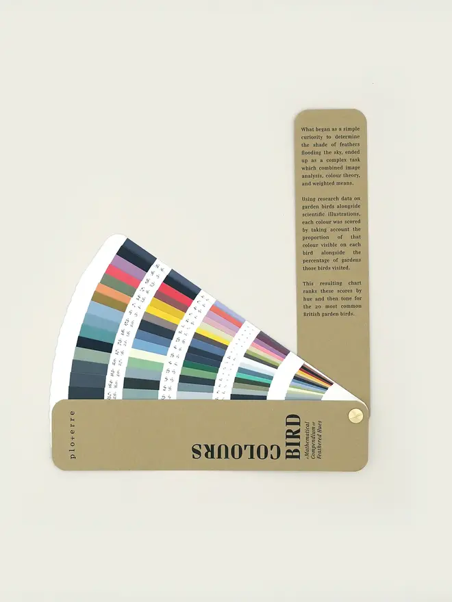 Bird Colours Book