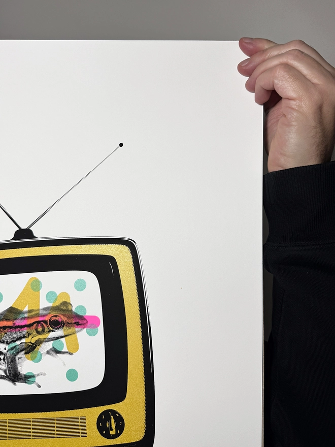 Froggy Vision_Screen Printed Large A2 Poster_Holly and Co_Close up top right