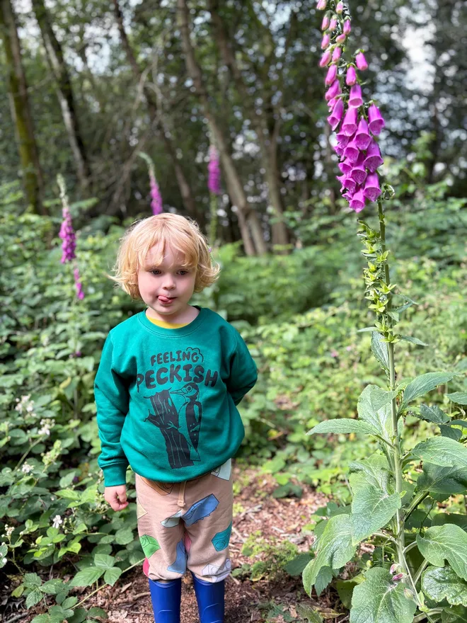 Feeling Peckish Kids Sweatshirt by hello DODO