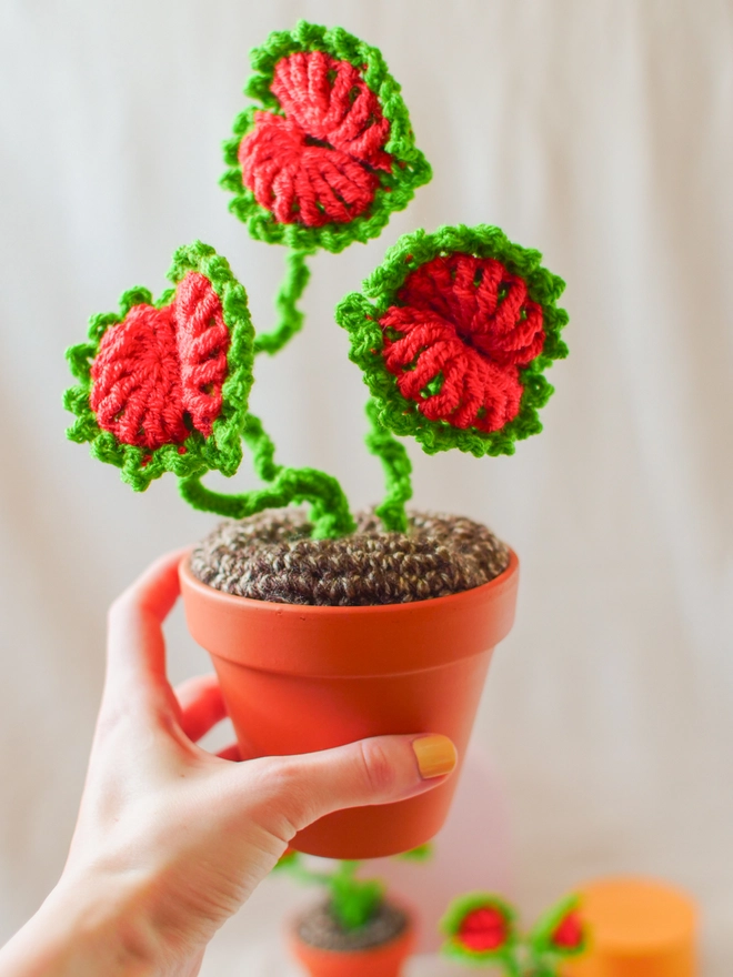 crochet Venus Flytrap in terracotta pot