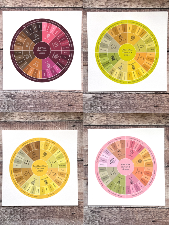 Group of 4 illustrated Wine Flavour Wheels - Red, White, Sparkling and Rose