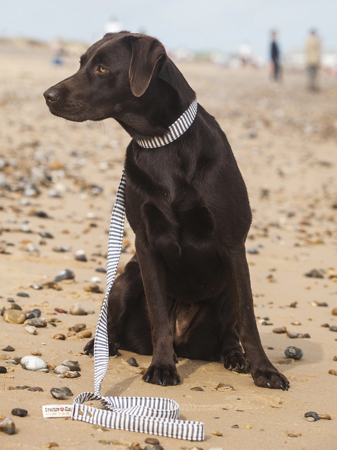 Breton Stripe Vegan Fabric Dog Lead