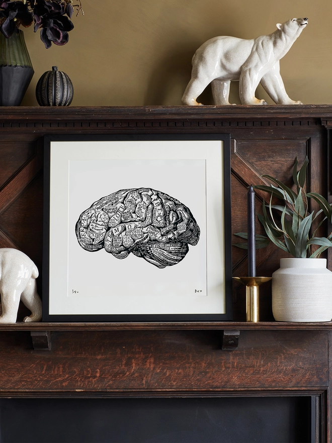 Anatomy Of The Brain art print on a mantlepiece in a home