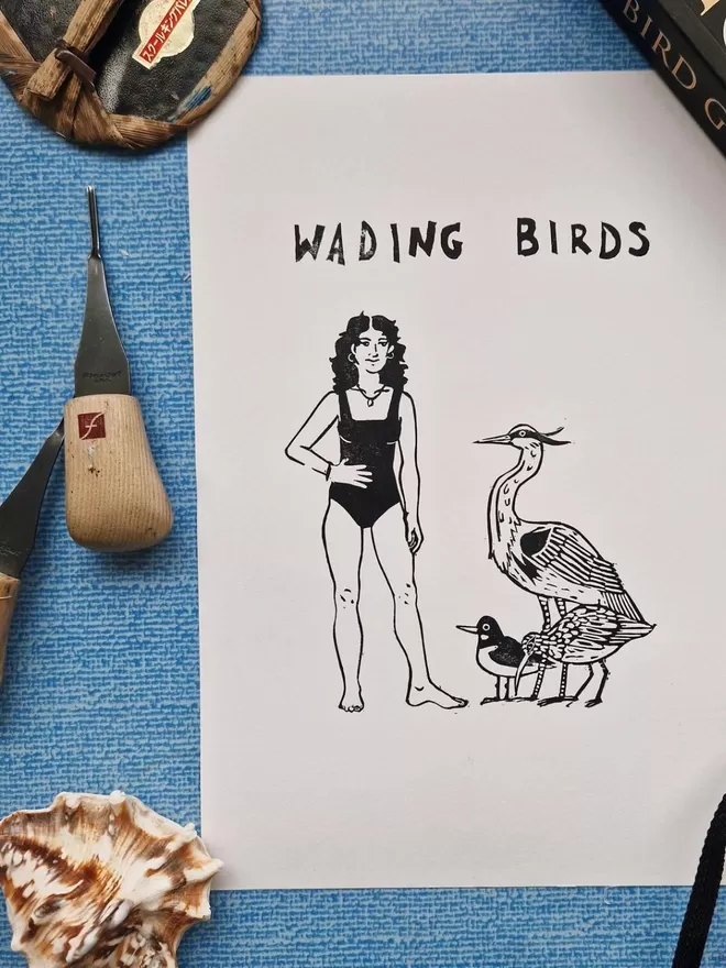 Wading Birds