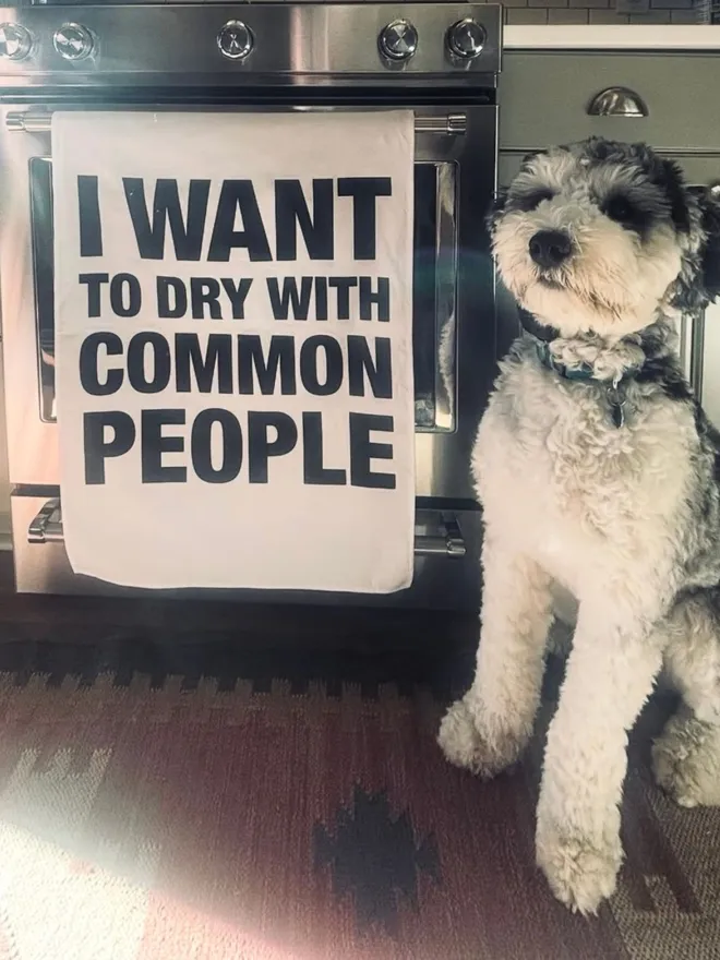 I Want to Dry With Common People screen printed tea towel hanging on oven door with dog sat next to it