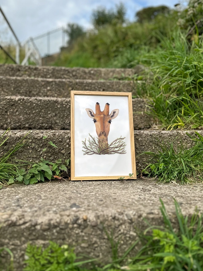 illustration of a giraffe's head poking out behind a bush