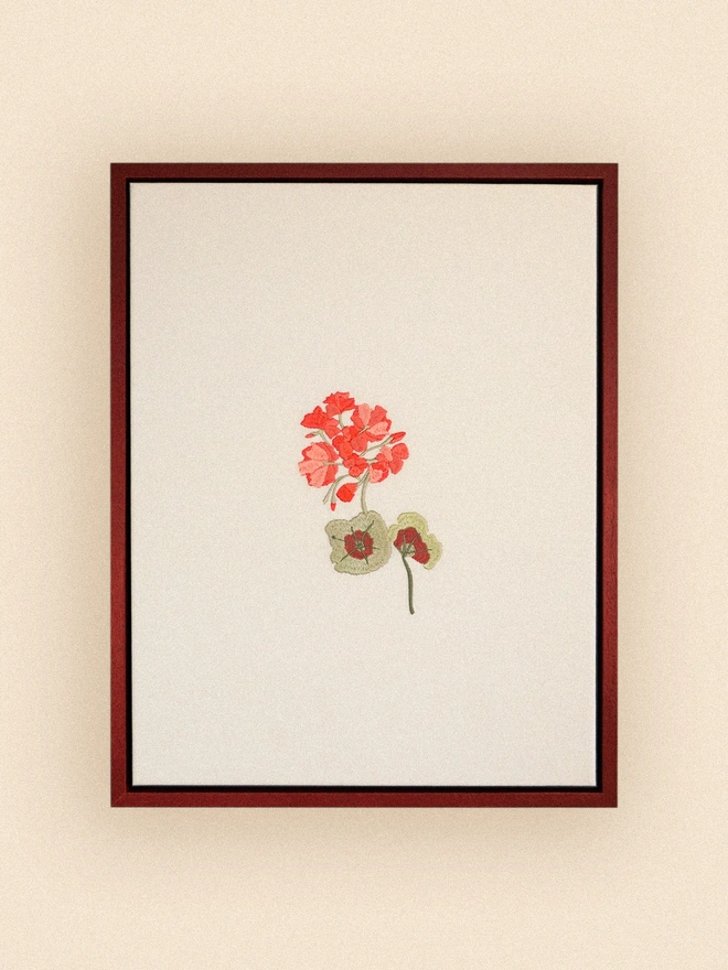 Framed geranium embroidery burgundy