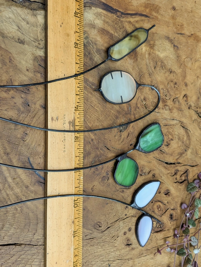Stained Glass Everlasting Posy