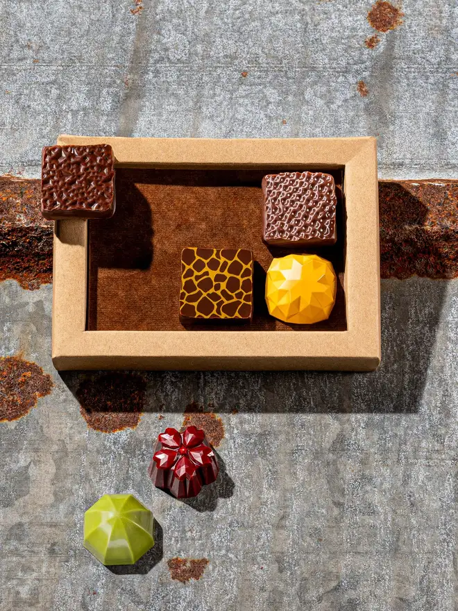 6 vegan chocolates display