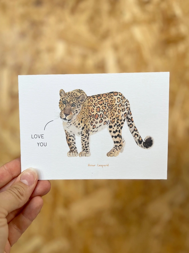 a greetings card featuring an illustration of a leopard with the text “love you”