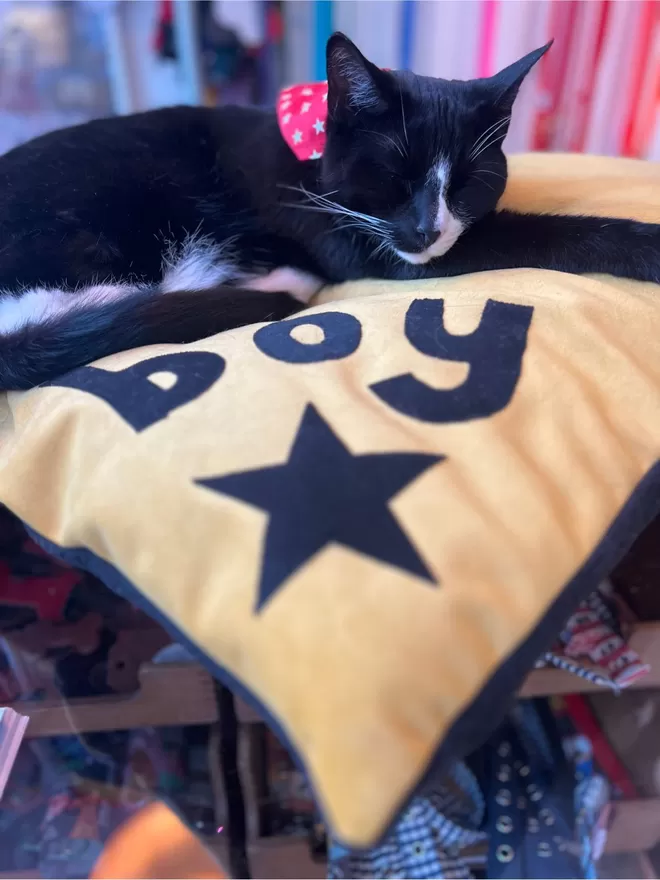 Personalised Star Cat Bed