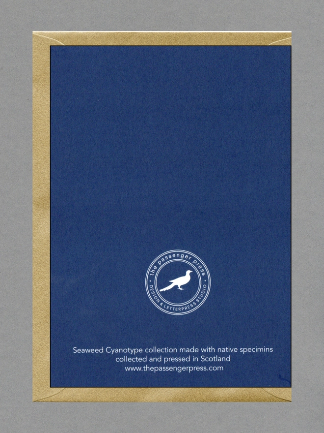The back face of a blue card with a gold envelope behind.