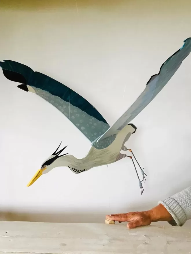 Heron angled view of wingspan hanging in front of white wall