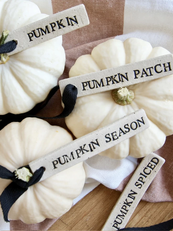 selection of pumpkin themed ceramic tags