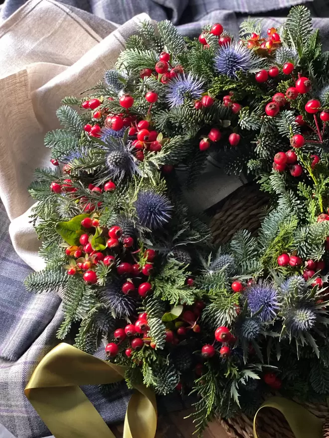 A Christmas Berry and  Fresh Eryngium Thistle Wreath sits on a wooden table, a pale blue tartan cloth sits alongside,  a green thick satin ribbon  is attached to the wreath.