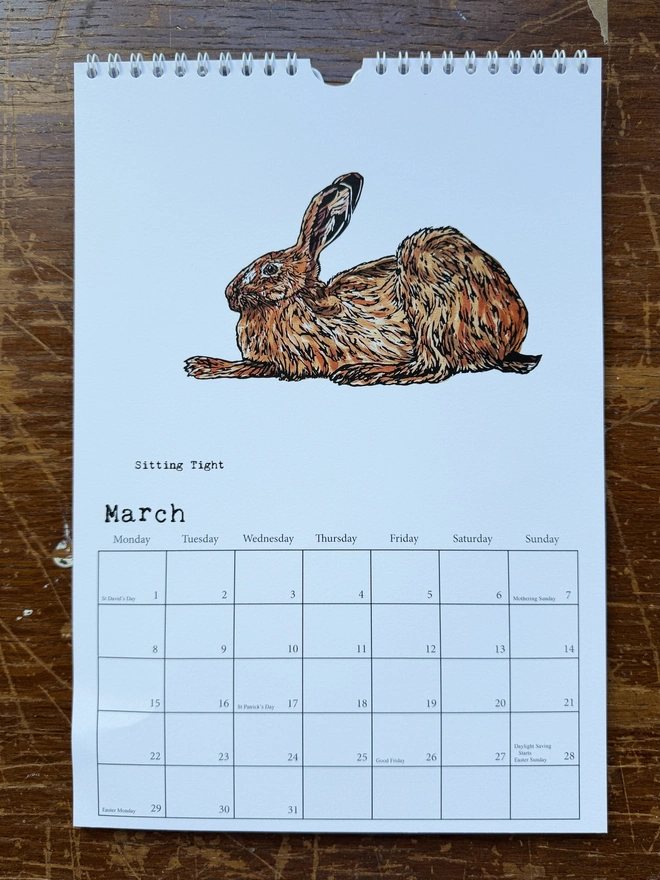 Sitting Tight Hare for March