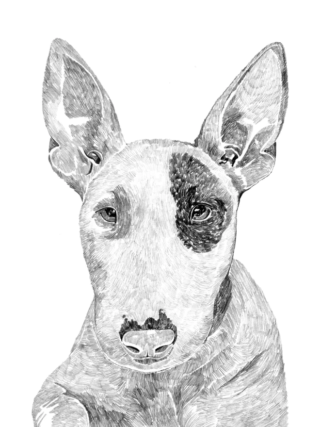 Detail of bull terrier dog art print