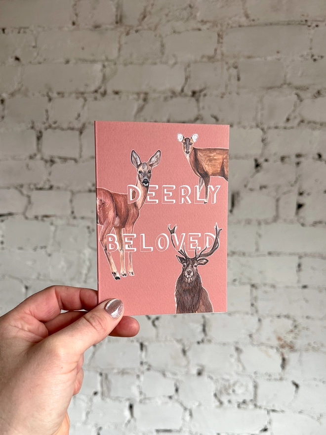 a peachy pink greetings card featuring three illustrations of different deer breeds with the text “deerly beloved”