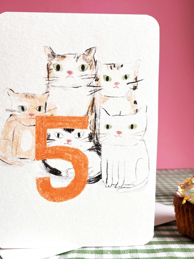 Five Today Cats Card