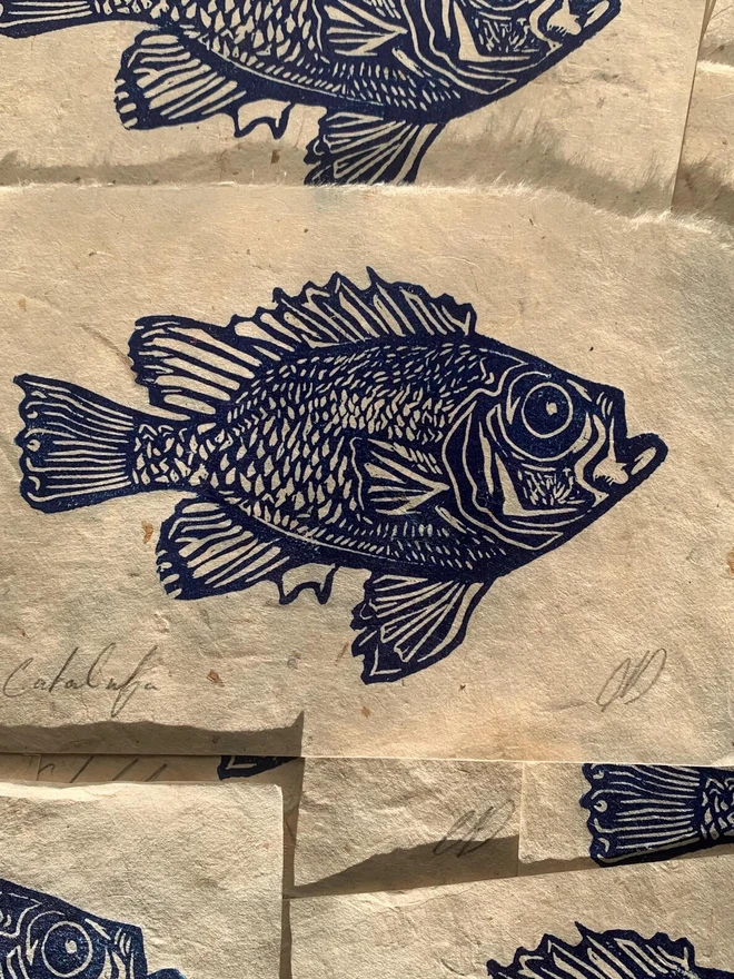 Lino Print Popeye Catalufa Fish On Handmade Paper