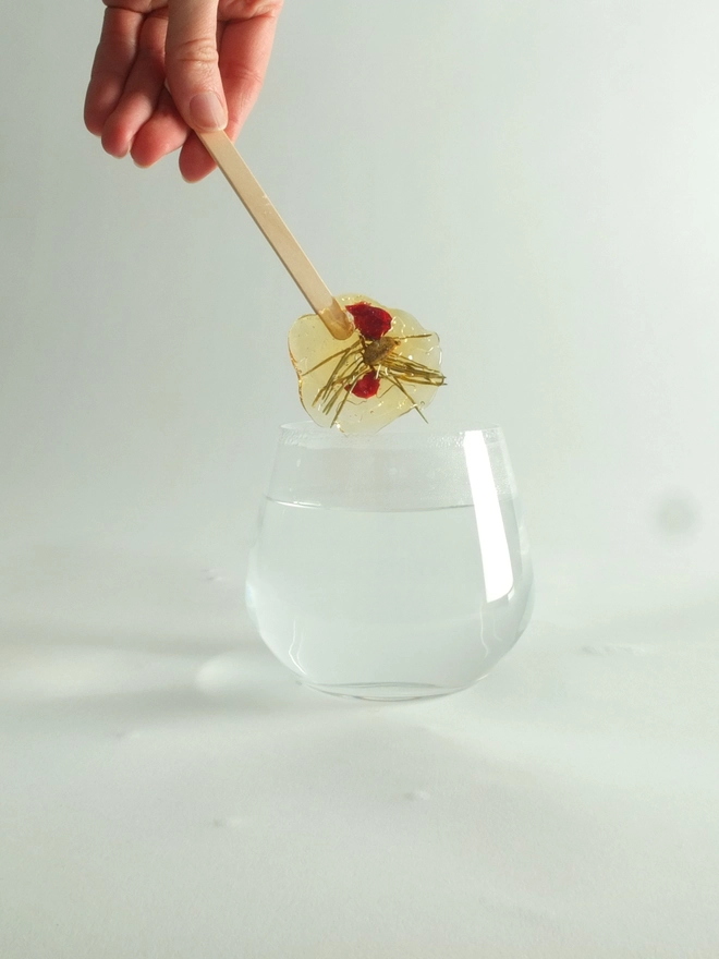 Fleurs-d-hiver-white-fir-cranberries-cardamom