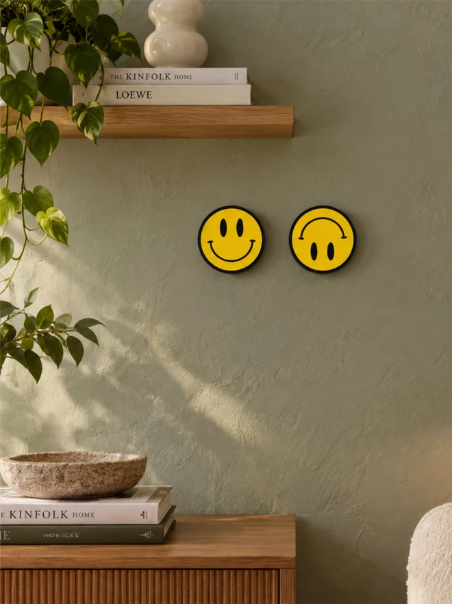Pair of smileys in home setting_Show Pony