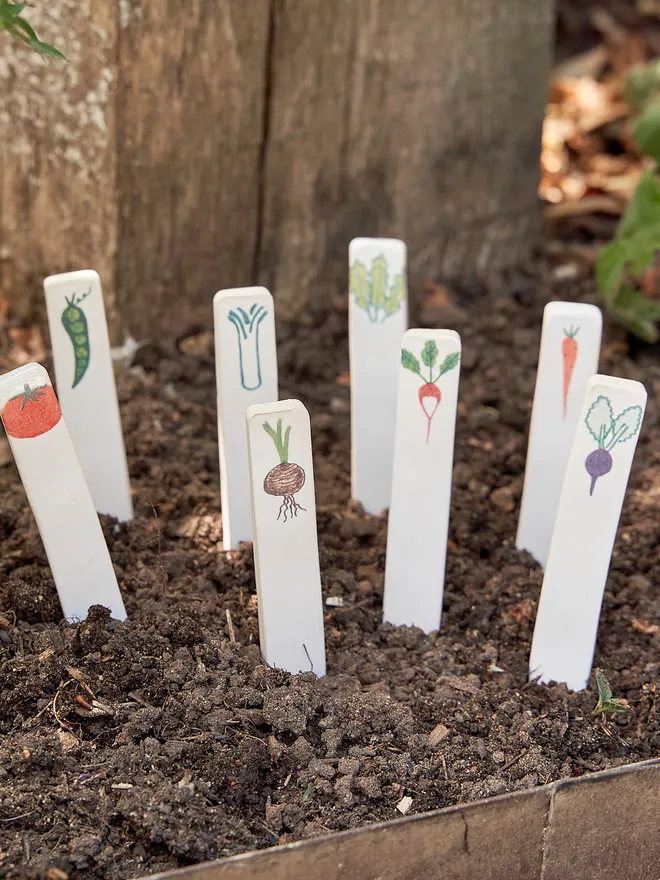 Ceramic Vegetable Image Labels (Set Of 8)