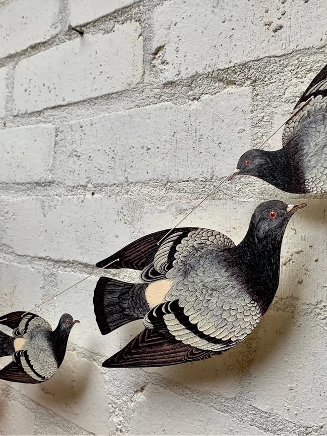 A string of pigeon bunting against a white painted brick wall