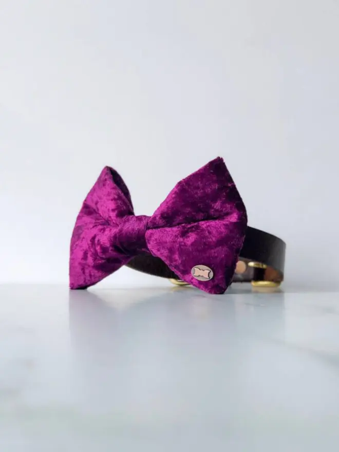 Winning Wine Dog Bow Tie in Large by The Distinguished Dog Company