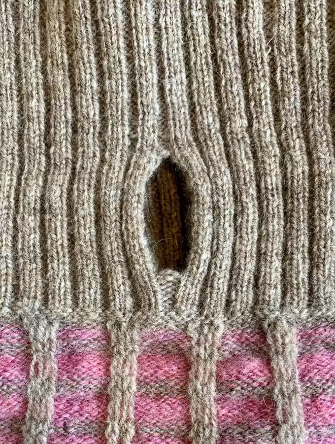 dog jumper with a lead hole 