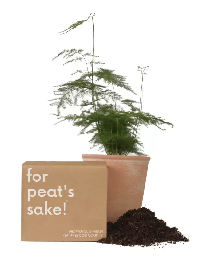 for peat's sake! peat-free eco coir compost with houseplant, plant pot and coco peat coir soil
