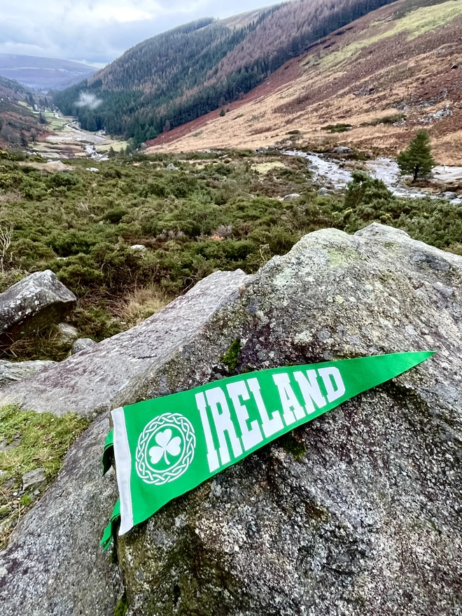 felt pennant flag rich pea green with white text saying IRELAND and a shamrock in a celtic patterned border