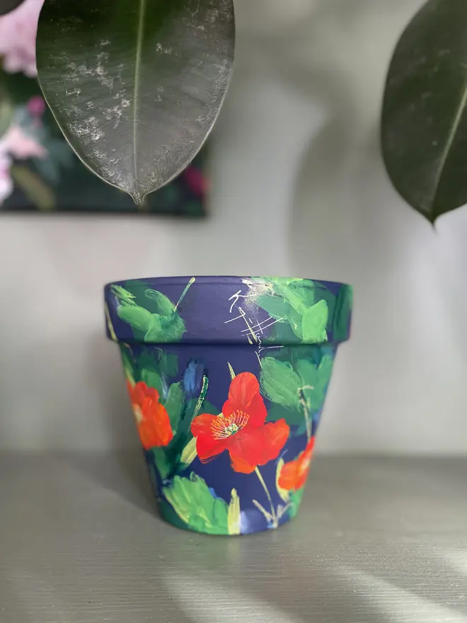 hand painted terracotta floral plant pot rich dark blue background with red orange Icelandic poppy flowers 